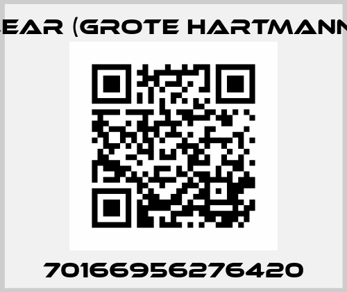 70166956276420 Grote Hartmann