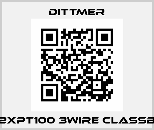 2XPT100 3wire classB Dittmer