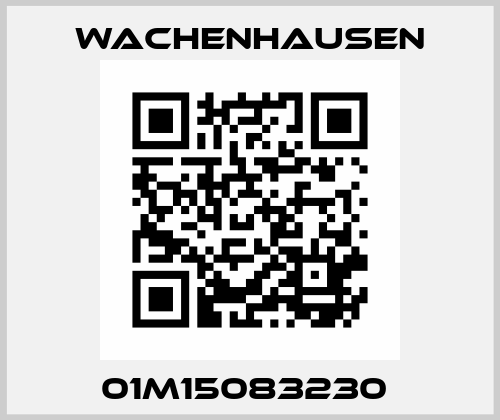 01M15083230  Wachenhausen