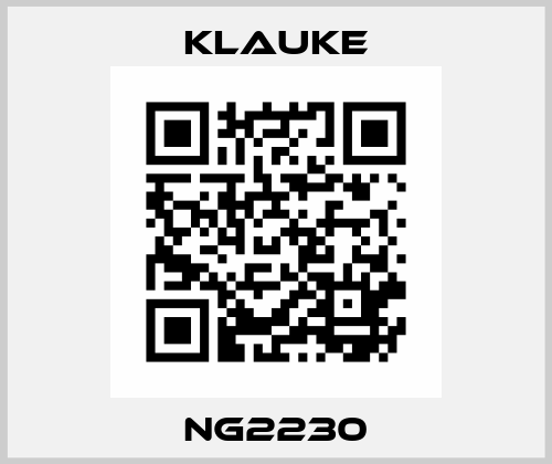 NG2230 Klauke