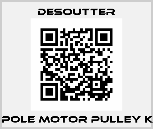 4 POLE MOTOR PULLEY KIT Desoutter