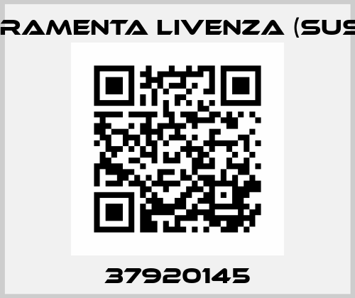 37920145 Ferramenta Livenza (Suspa)