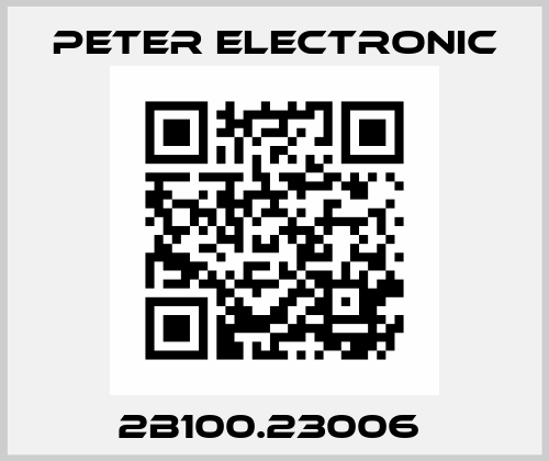 2B100.23006  Peter Electronic