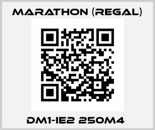 DM1-IE2 250M4  Marathon (Regal)