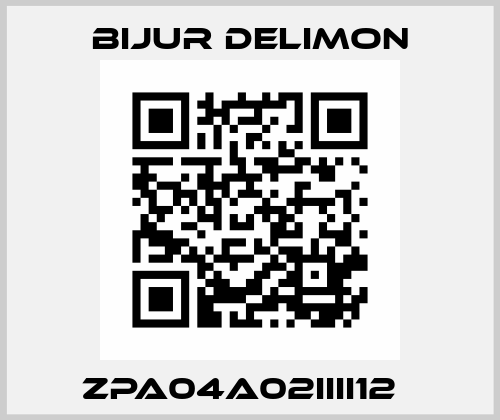 ZPA04A02IIII12   Bijur Delimon