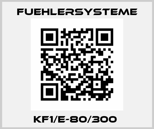 KF1/E-80/300  FuehlerSysteme
