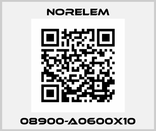 08900-A0600X10 Norelem