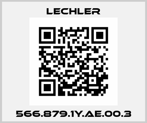 566.879.1Y.AE.00.3 Lechler