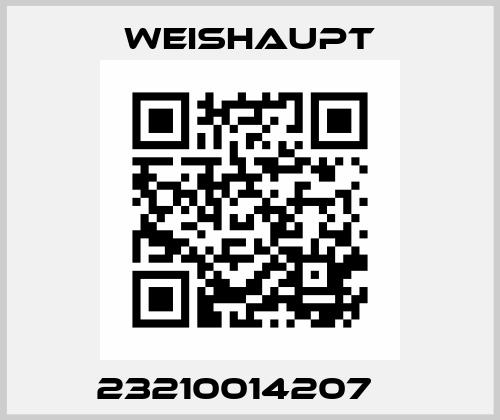  23210014207    Weishaupt