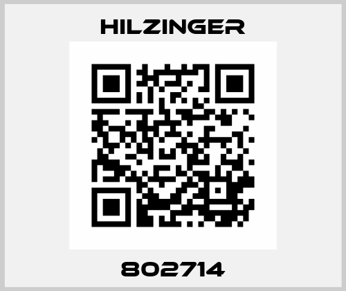 802714 Hilzinger