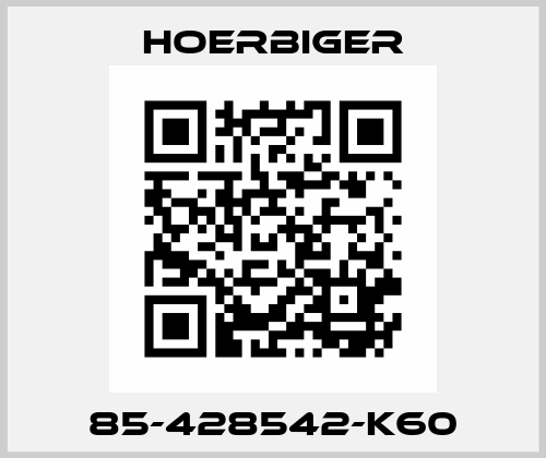 85-428542-K60 Hoerbiger