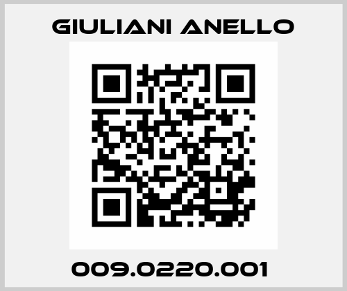 009.0220.001  Giuliani Anello