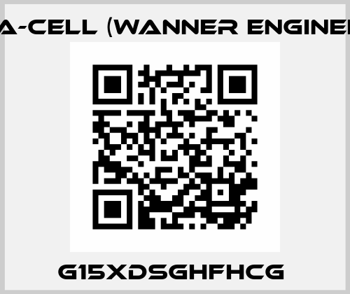 G15XDSGHFHCG  Hydra-Cell (Wanner Engineering)