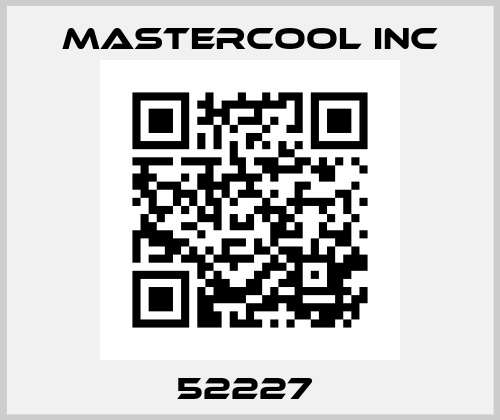 52227  Mastercool Inc