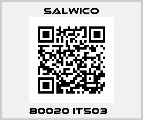 80020 ITS03   Salwico