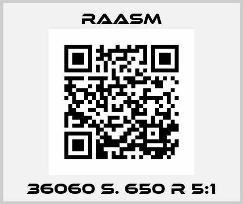 36060 S. 650 R 5:1 RAASM S.p.a.