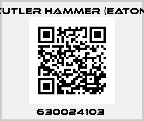 630024103  Cutler Hammer (Eaton)