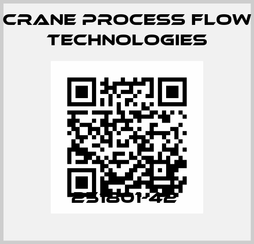 251801-42  Crane Process Flow Technologies