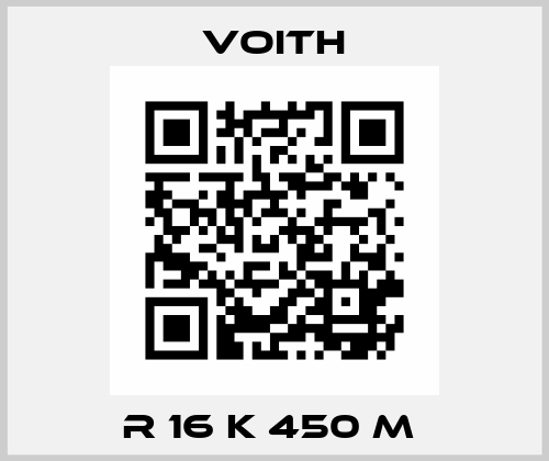 R 16 K 450 M  Voith
