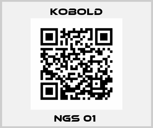 NGS 01  Kobold