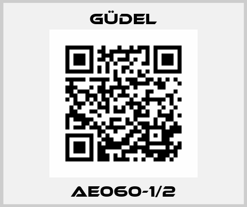 AE060-1/2 Güdel