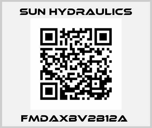 FMDAXBV2B12A  Sun Hydraulics