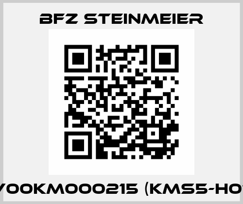 V00KM000215 (KMS5-H01) BFZ STEINMEIER