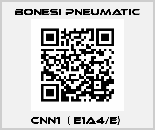 CNN1  ( E1A4/E)  Bonesi Pneumatic