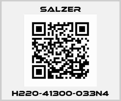 H220-41300-033N4 Salzer
