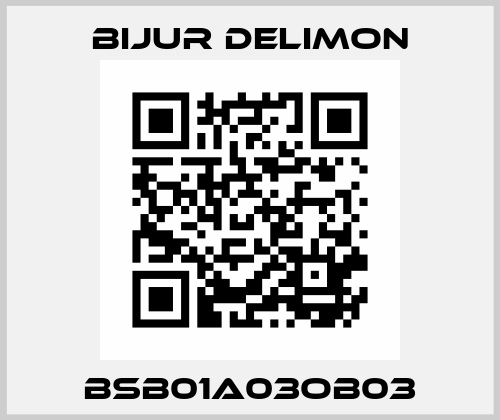 BSB01A03OB03 Bijur Delimon