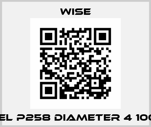 MODEL P258 DIAMETER 4 100 mm Wise