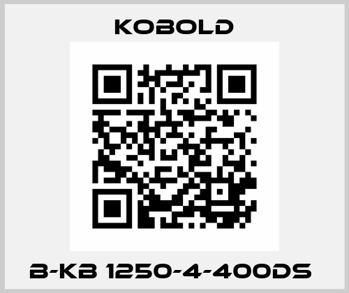 B-KB 1250-4-400DS  Kobold