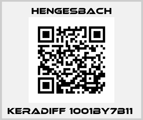 KERADIFF 1001BY7B11  Hengesbach