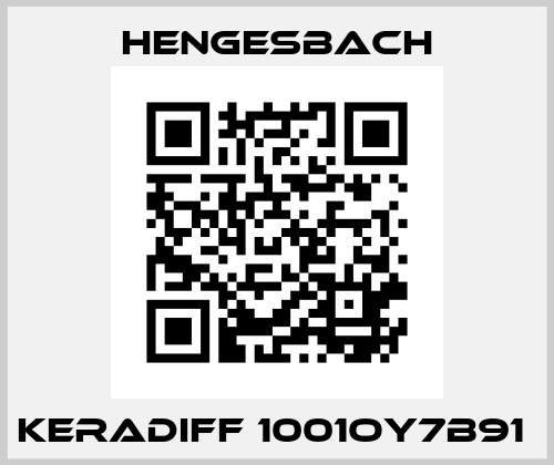 KERADIFF 1001OY7B91  Hengesbach