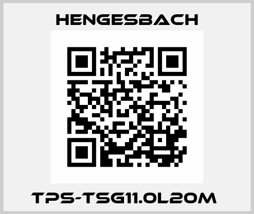 TPS-TSG11.0L20M  Hengesbach