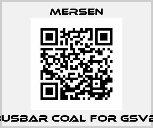 BUSBAR COAL FOR GSV2  Mersen