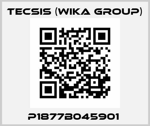 P1877B045901  Tecsis (WIKA Group)
