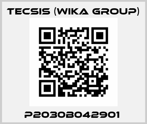 P2030B042901  Tecsis (WIKA Group)