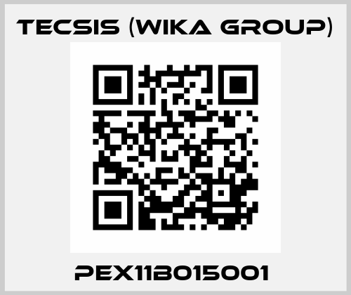 PEX11B015001  Tecsis (WIKA Group)