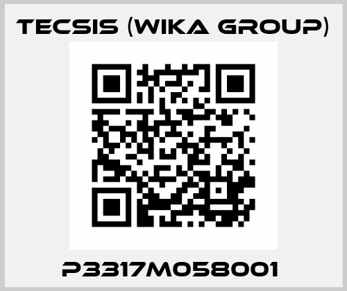 P3317M058001  Tecsis (WIKA Group)