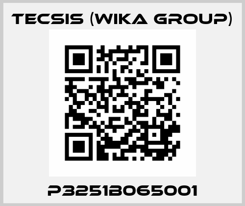 P3251B065001 Tecsis (WIKA Group)