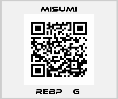REBP□□G  Misumi