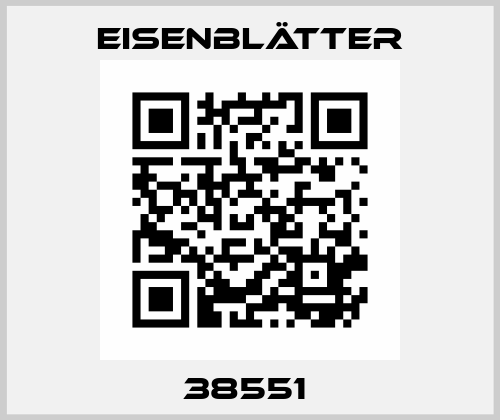 38551  Eisenblätter