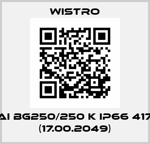 FLAI Bg250/250 K IP66 417lg (17.00.2049) Wistro