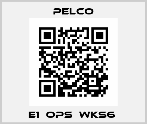 E1‐OPS‐WKS6  Pelco