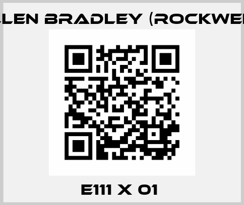 E111 X 01  Allen Bradley (Rockwell)