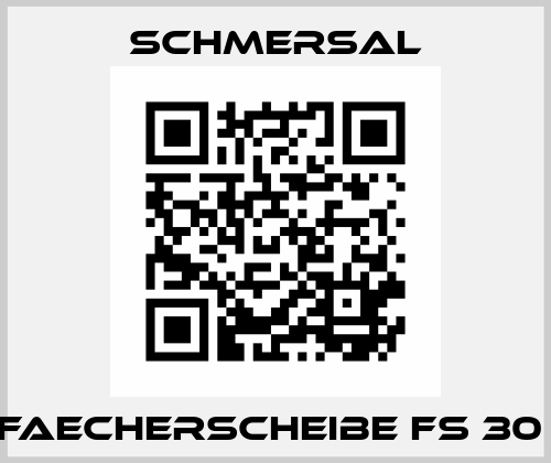 FAECHERSCHEIBE FS 30  Schmersal