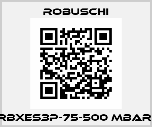 RBXES3P-75-500 mbar  Robuschi