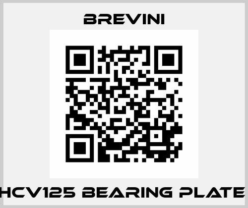 HCV125 BEARING PLATE  Brevini