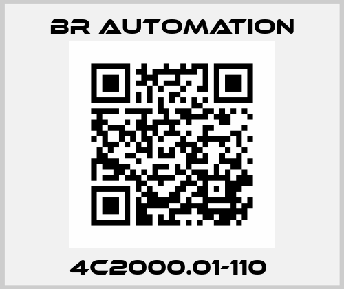 4C2000.01-110  Br Automation